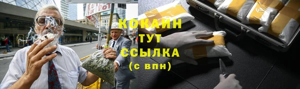 прущие крисы Зеленодольск