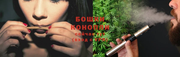 прущие крисы Зеленодольск