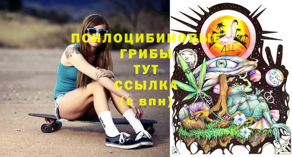 спиды Зерноград