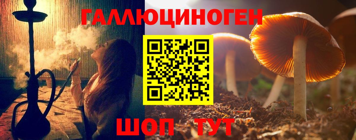 Каменск-Шахтинский  Псилоцибиновые грибы прущие грибы  Вход с VPN 